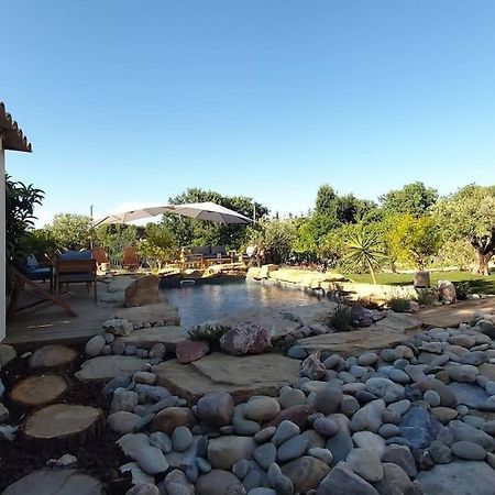 Une Oasis Au Pays De Cezanne 普罗旺斯地区艾克斯 外观 照片