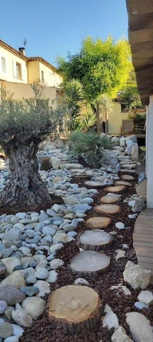Une Oasis Au Pays De Cezanne 普罗旺斯地区艾克斯 外观 照片