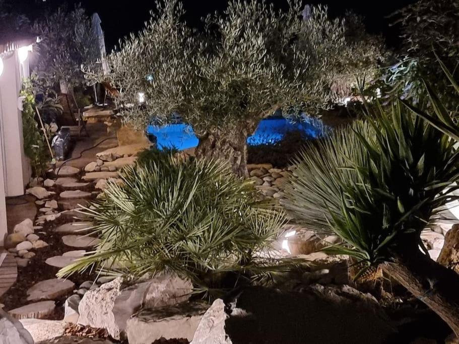 Une Oasis Au Pays De Cezanne 普罗旺斯地区艾克斯 外观 照片